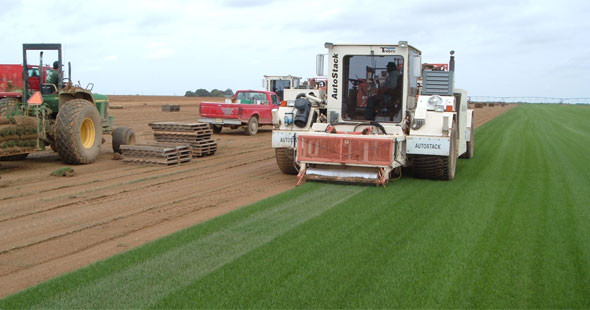 A1 Quality Sod — photo 3 of 4