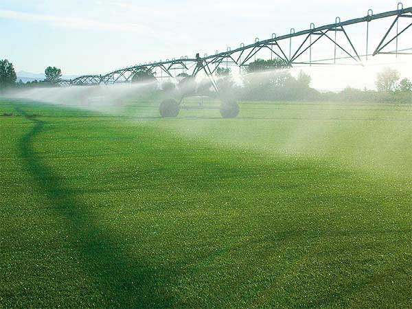 A1 Quality Sod — photo 4 of 4